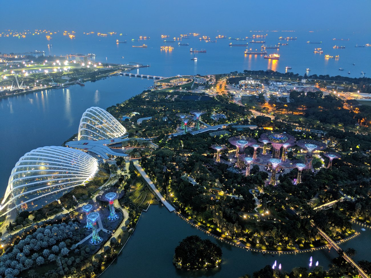 Night Sight photograph of Singapore's Gardens by the Bay and harbor after sunset